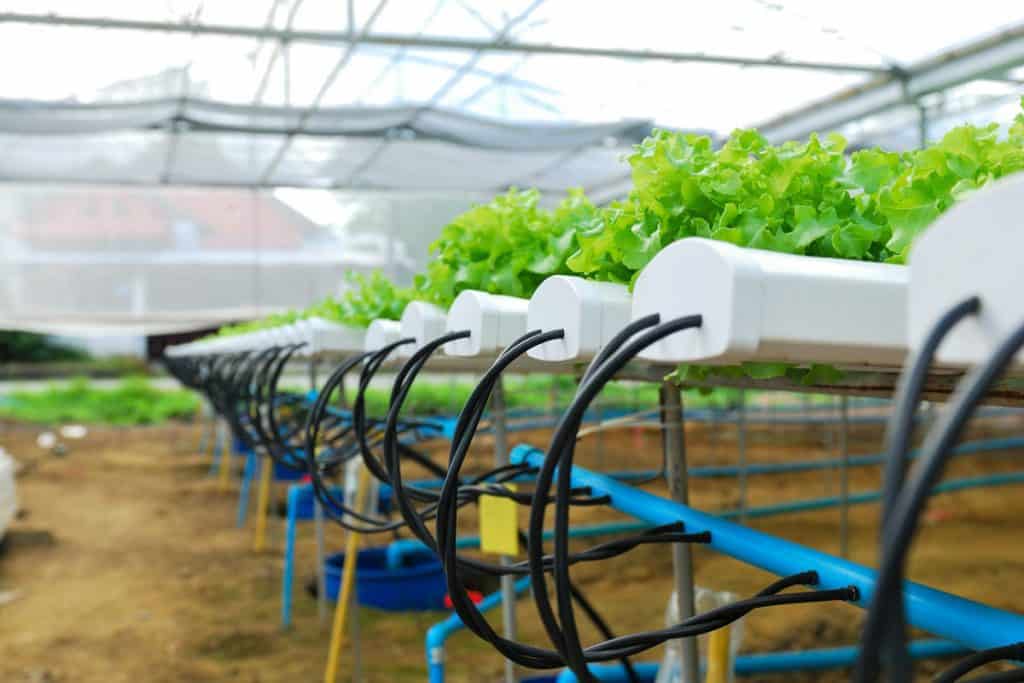 Water Pumps in Hydroponics: Ensuring Nutrient Circulation and System Performance